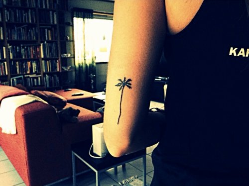 Palm Tree Tattoo On Bicep